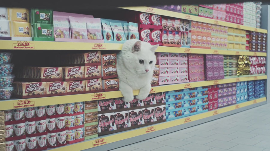 Ausschnitt aus dem Werbespot "Netto-Katzen"